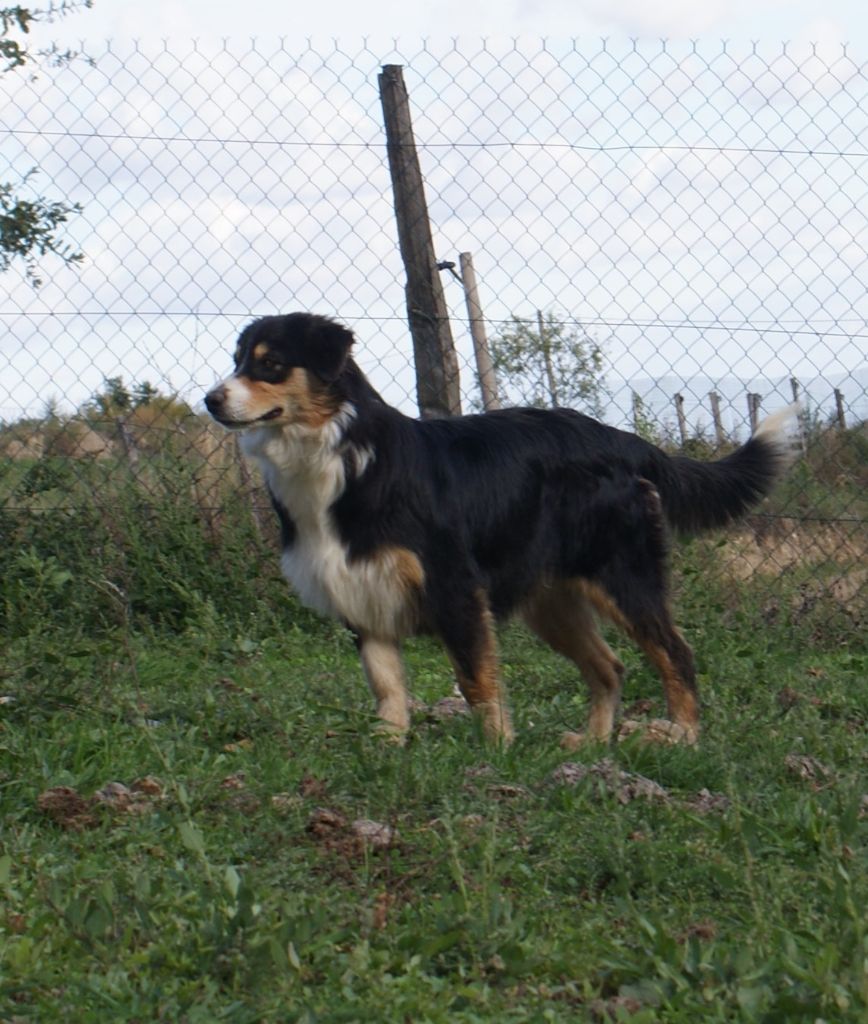 Ralley De La Vallée Du Bozançon